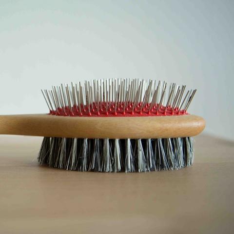 Pet Brush with Bristle and metal pin (6557497688262)