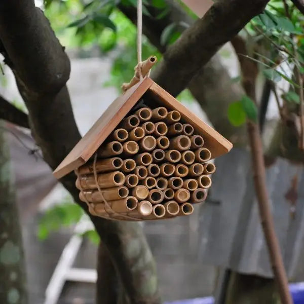 Hanging Bee House