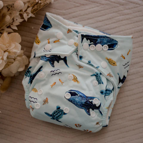 Cloth Nappy reusable (1957413748787)