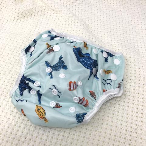 Cloth Swim Nappy (4386164277337)