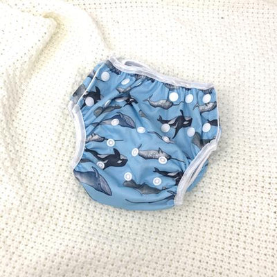 Cloth Swim Nappy (4386164277337)