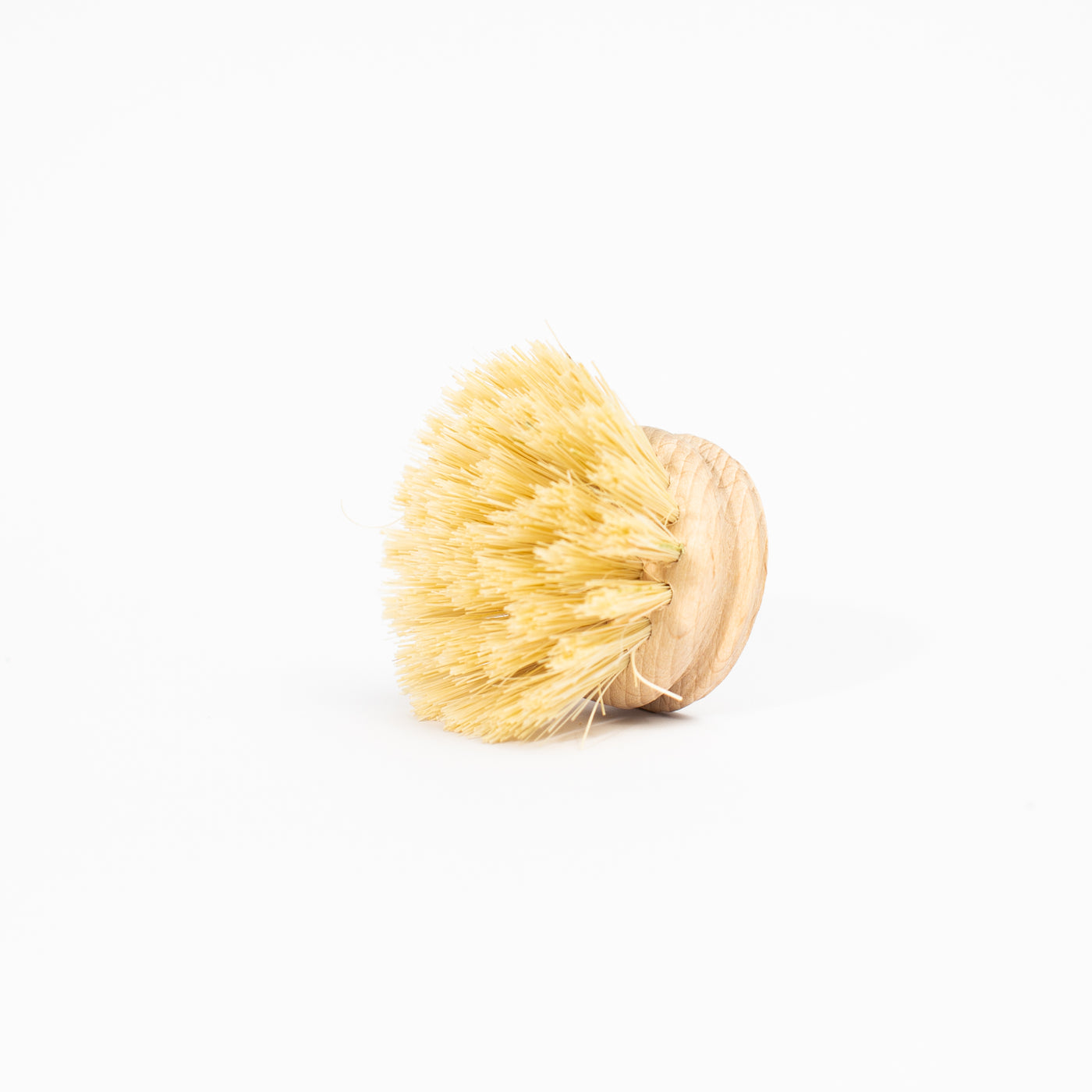 Replacement brush head (1957413093427)
