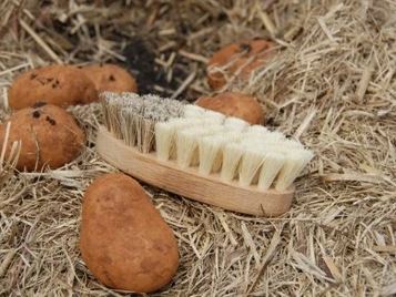 Firm Scrub Brush (6222160298182)