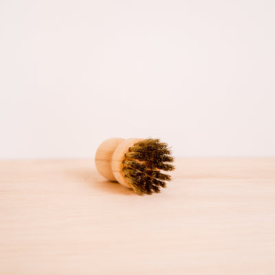 Wire Brush (1957412798515)