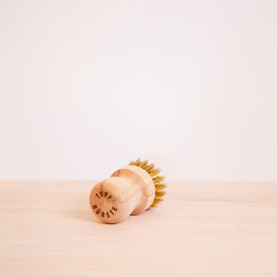 Wire Brush (1957412798515)